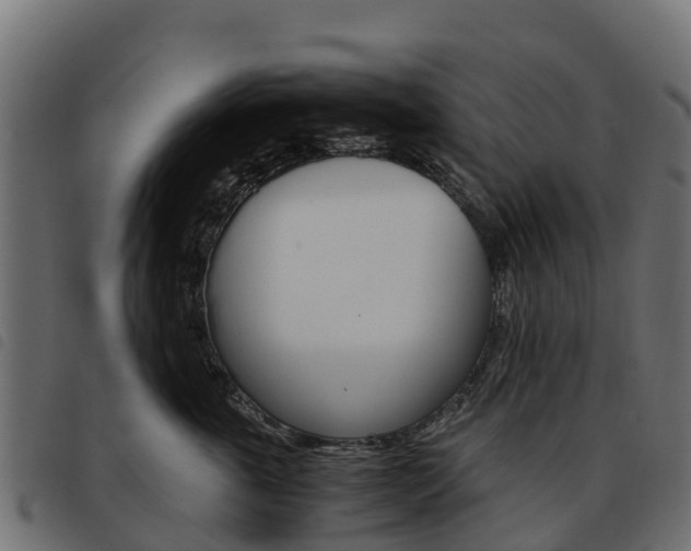 X0000093590763200710151017