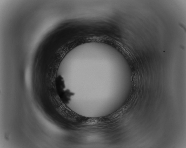 X0000093590764200710151017