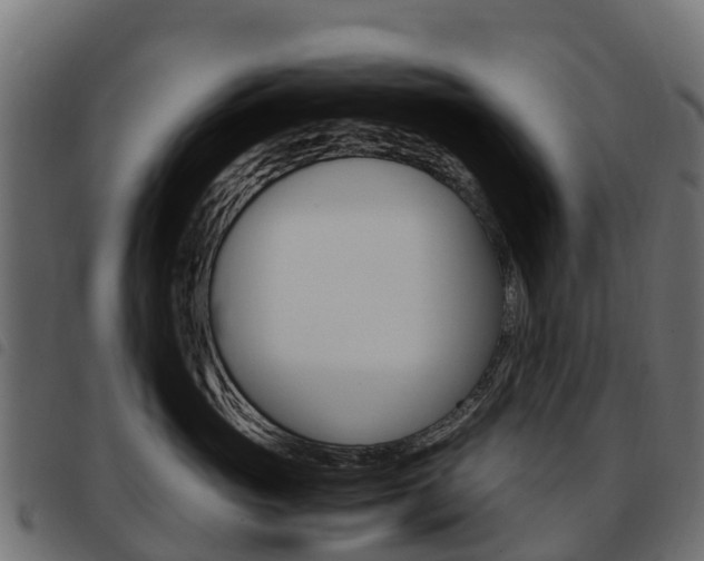 X0000093590765200710151017