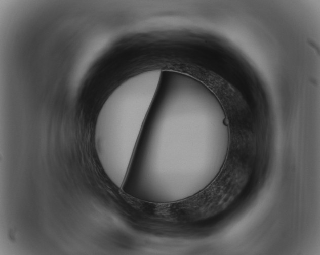 X0000093590766200710151017