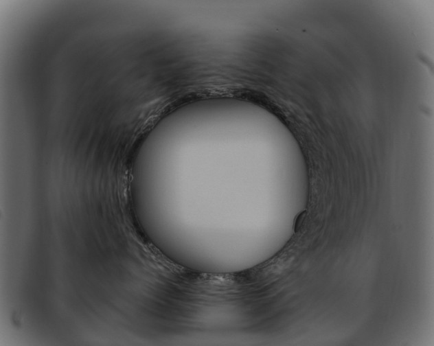 X0000093590768200710151017