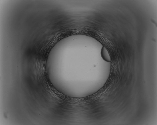 X0000093590770200710151017