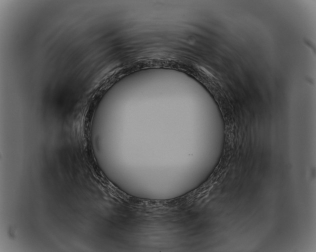 X0000093590774200710151016