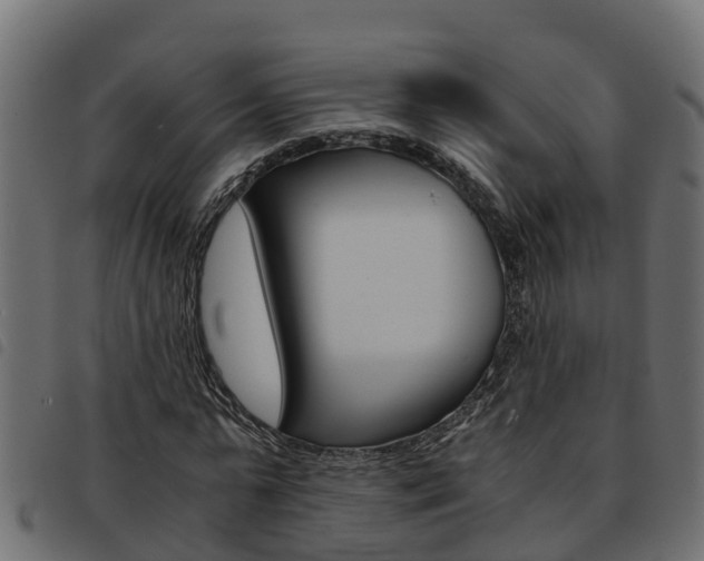X0000093590775200710151016