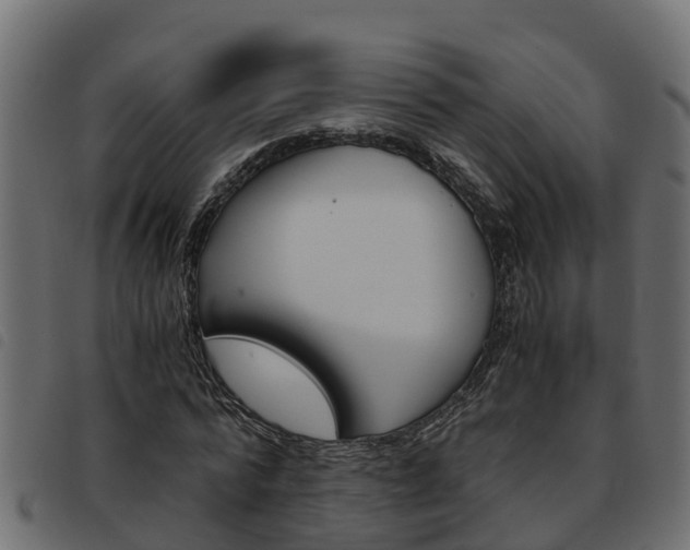 X0000093590776200710151016