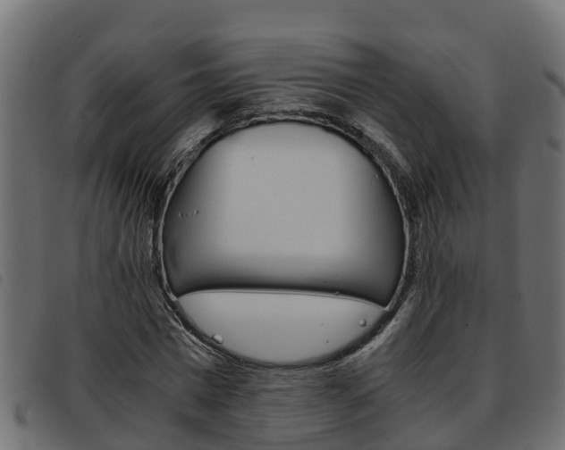 X0000093590777200710151016