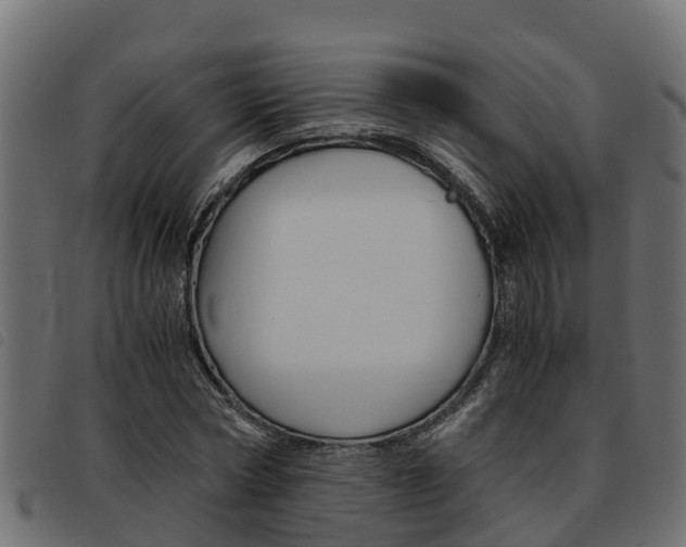 X0000093590778200710151016