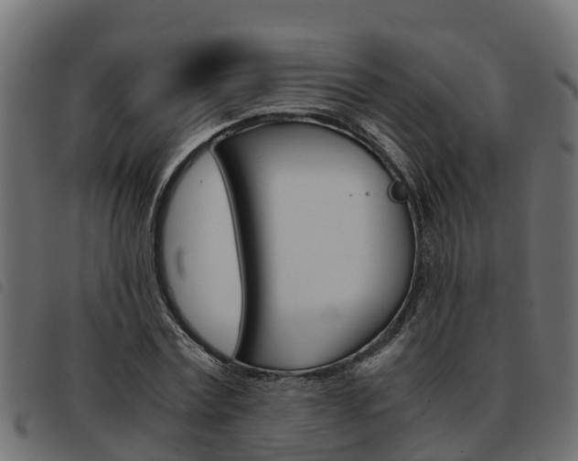 X0000093590779200710151016