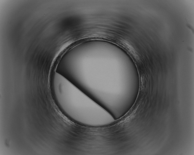 X0000093590780200710151016