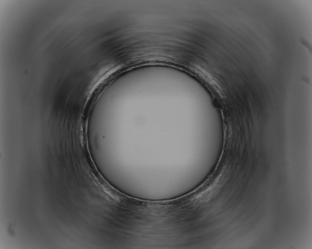 X0000093590782200710151016