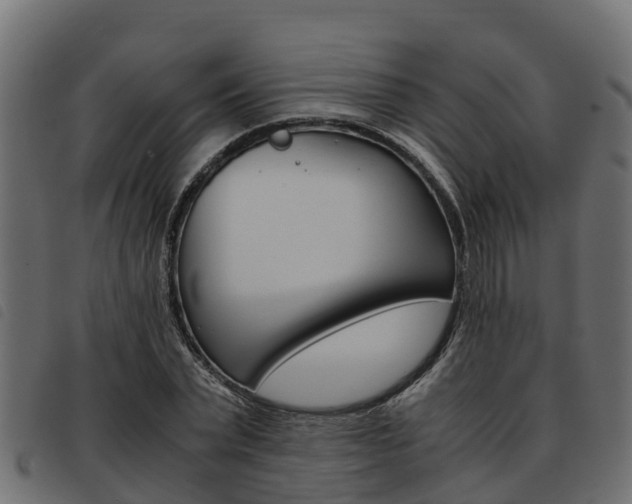 X0000093590783200710151016