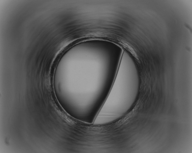 X0000093590784200710151016