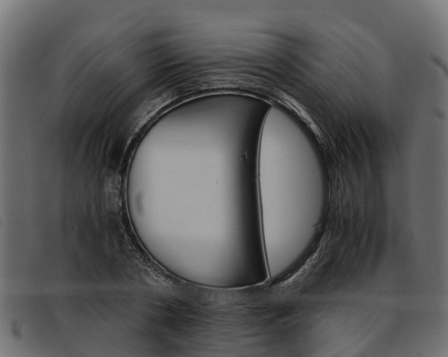 X0000093590786200710151016