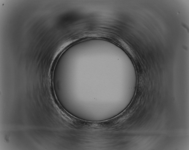 X0000093590787200710151016