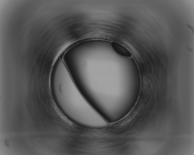 X0000093590788200710151016