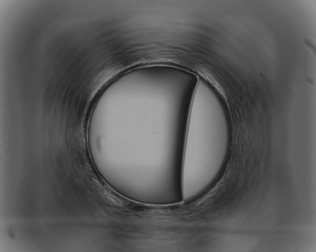X0000093590789200710151016