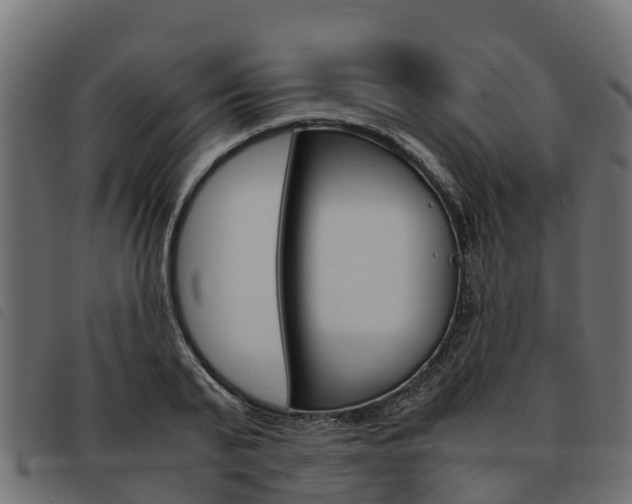 X0000093590791200710151016