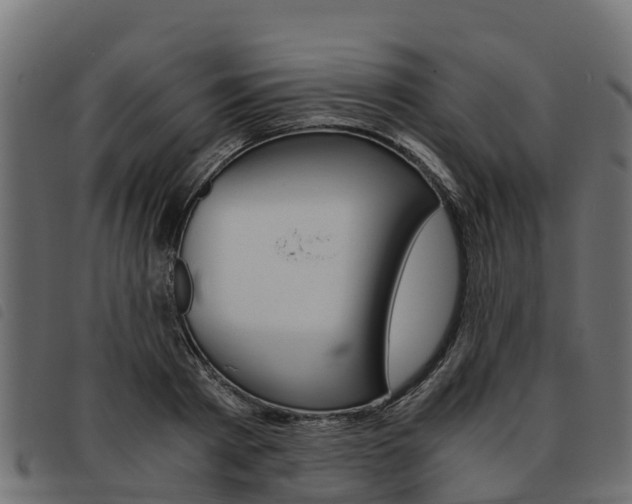 X0000093590793200710151016