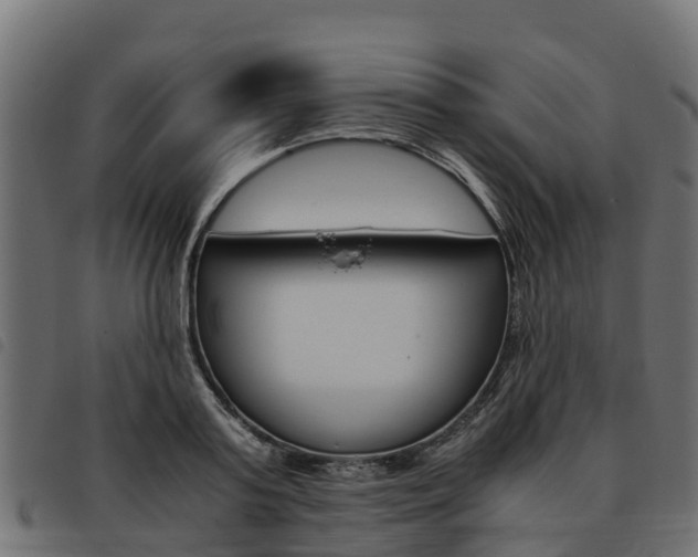 X0000093590795200710151016