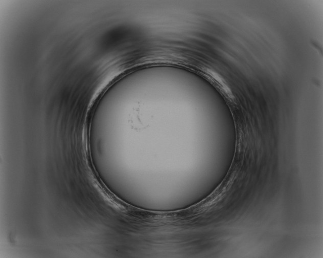 X0000093590796200710151016