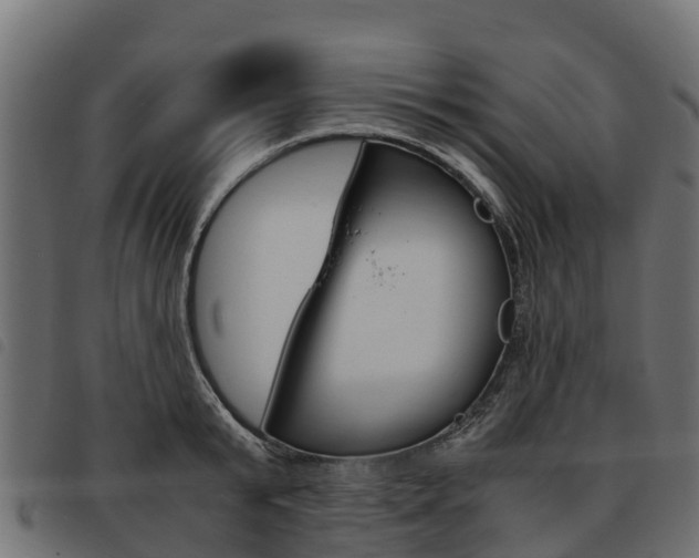 X0000093590799200710151016