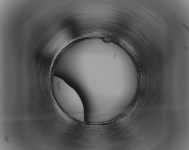 X0000093590800200710151016
