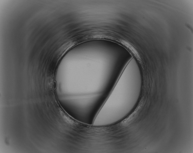 X0000093590801200710151016