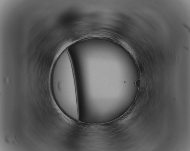X0000093590803200710151016