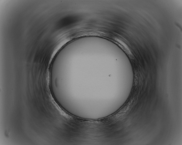 X0000093590804200710151016