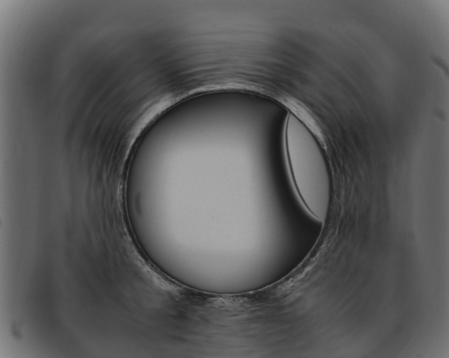 X0000093590805200710151016