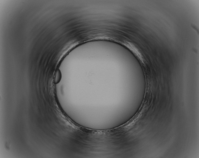 X0000093590806200710151016