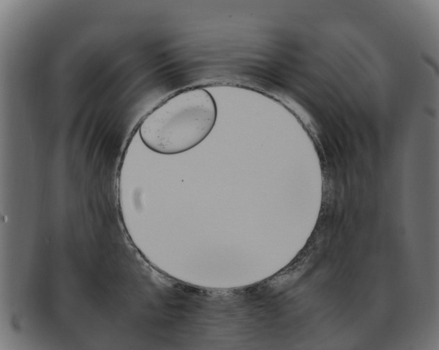 X0000093590807200710151016
