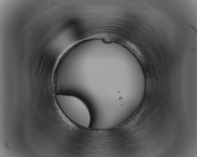 X0000093590808200710151016