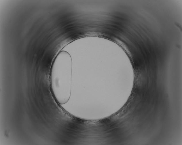 X0000093590810200710151016