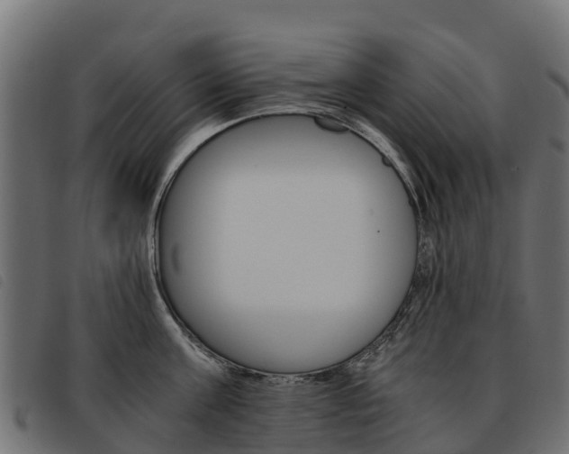 X0000093590811200710151016