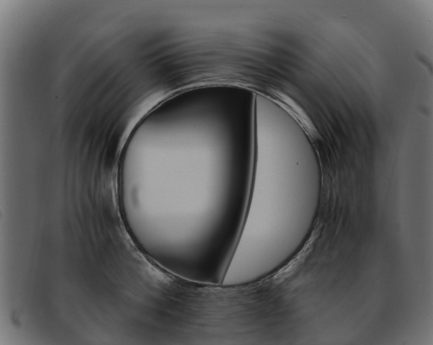 X0000093590812200710151016