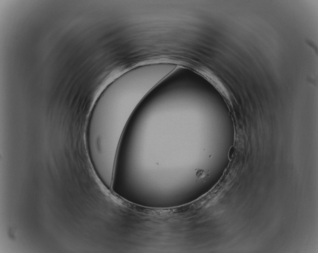 X0000093590813200710151016