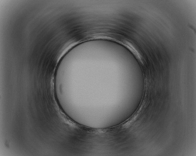X0000093590814200710151016