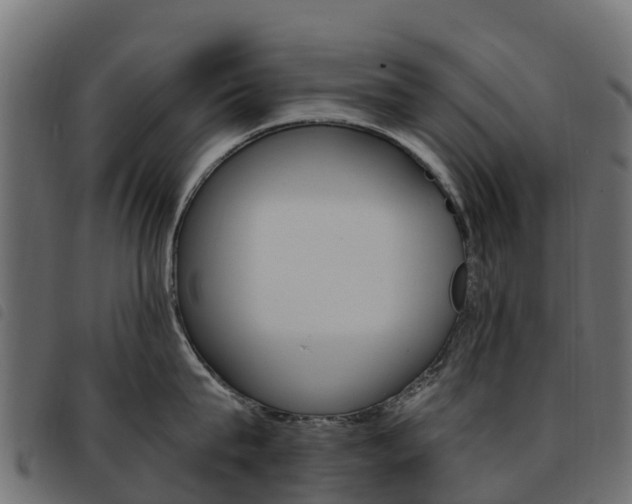 X0000093590815200710151016