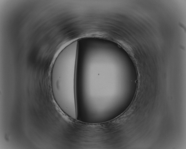 X0000093590816200710151016