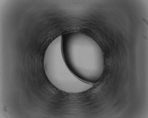 X0000093590818200710151015