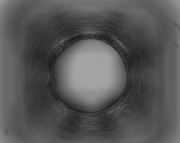 X0000093590821200710151015