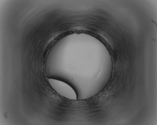X0000093590823200710151015