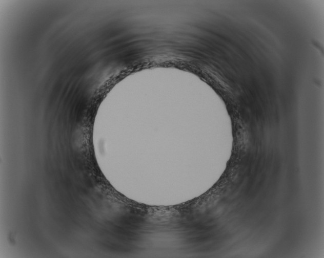 X0000093590824200710151015