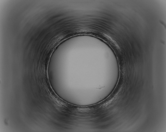 X0000093590825200710151015