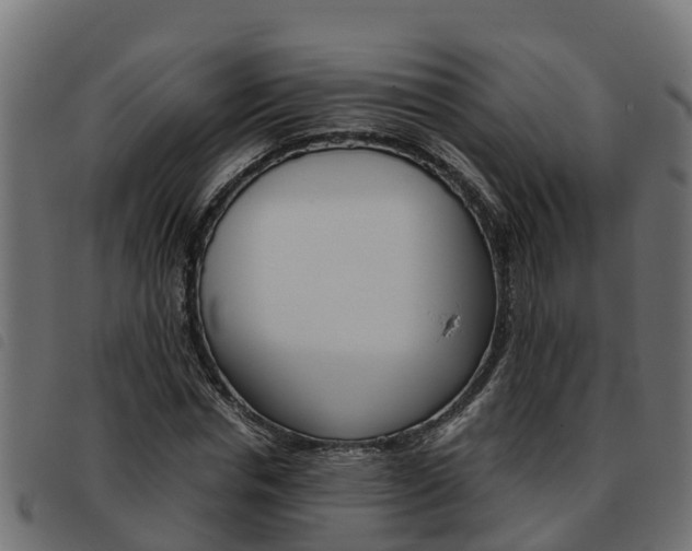 X0000093590826200710151015