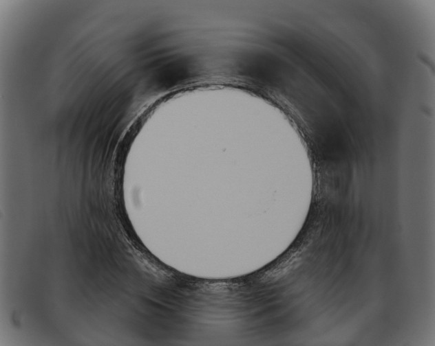 X0000093590828200710151016