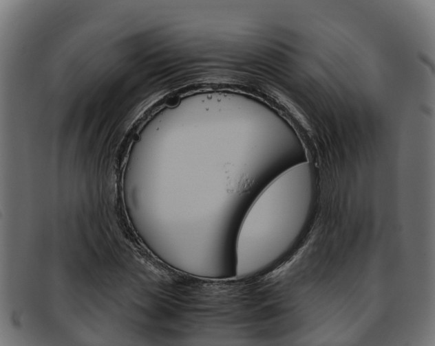 X0000093590829200710151016
