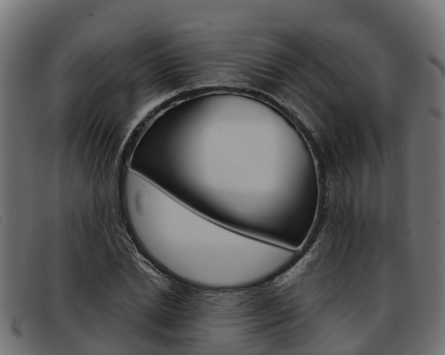 X0000093590830200710151016