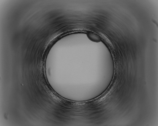 X0000093590831200710151016